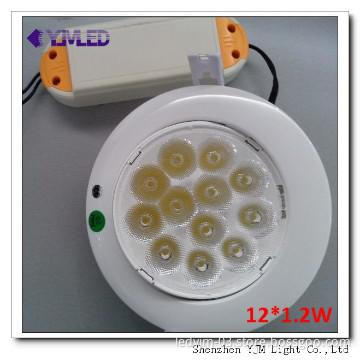 12*1.2W LED Modern Ceiling Lights,50000 hours life span,CE&RoHS